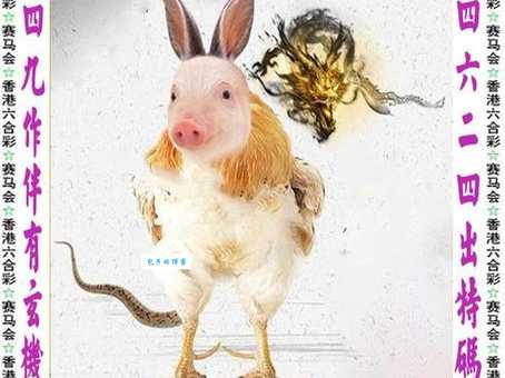 暗送秋波打一生肖是什么动物？揭秘生肖谜题！
