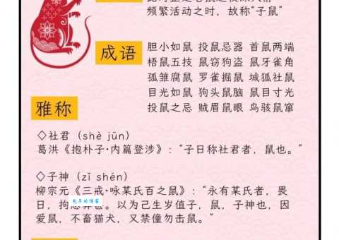 暗送秋波打一生肖是什么动物？揭秘生肖谜题！