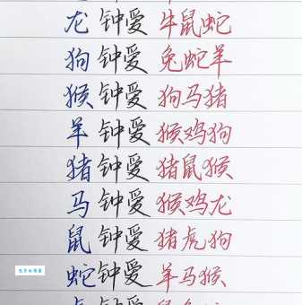 费心劳力打一最佳生肖？答案揭晓！