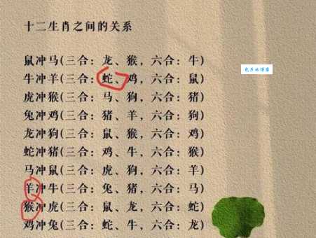 费心劳力打一最佳生肖？答案揭晓！