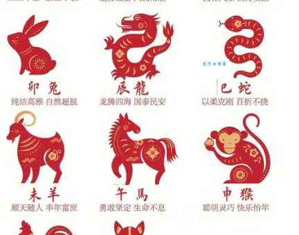 赶尽杀绝猜生肖：最全答案及解析都在这里