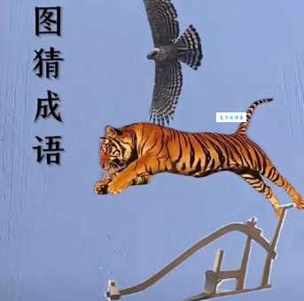 画地为牢打一准确动物是什么？答案揭晓！