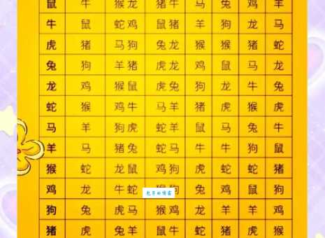 哪个生肖最会设下圈套？揭秘生肖背后的秘密