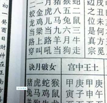 春色破晓是什么生肖？民间说法大揭秘