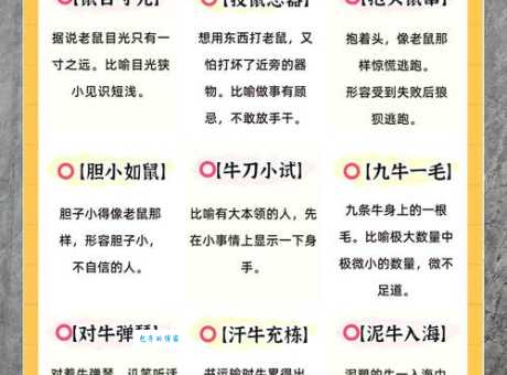 春色破晓是什么生肖？民间说法大揭秘
