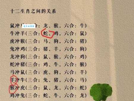 锦绣前程是指哪几个生肖？深度解读生肖与未来发展
