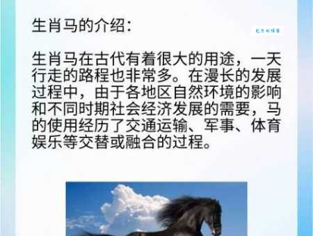 老马识途指的是哪个生肖？详解老马识途生肖之谜