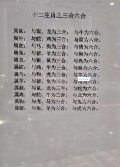 八难三灾对应哪些生肖？揭秘生肖与灾难的关系