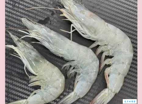 “大虾”是什么意思？深度解读大虾的含义和用法