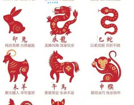 奇花异果打一准确生肖，你猜对了吗？