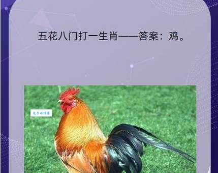 “直道相思了无益”指的是哪个生肖？详解谜底