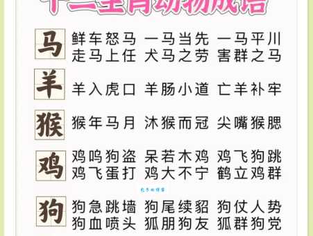 木已成舟是哪个生肖？深度解析成语与动物的联系