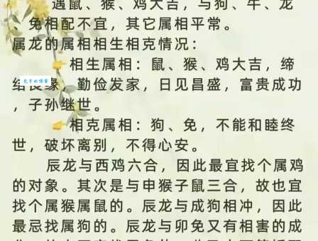 聪明又帅气！一表人才打一生肖是什么？