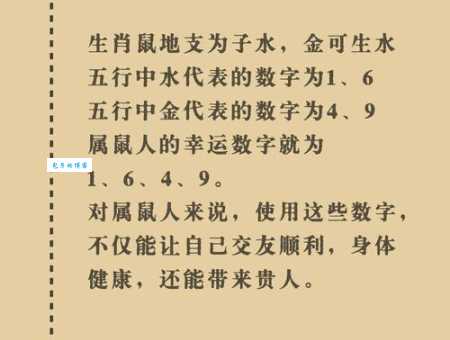 揭秘华而不实一肖：哪个生肖最符合？