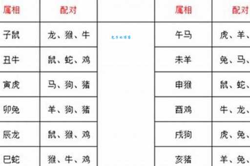 梦里水乡对应什么生肖？解梦答案就在这里