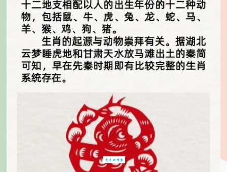 翻肠倒肚最准确一肖是哪个？详解十二生肖对应关系