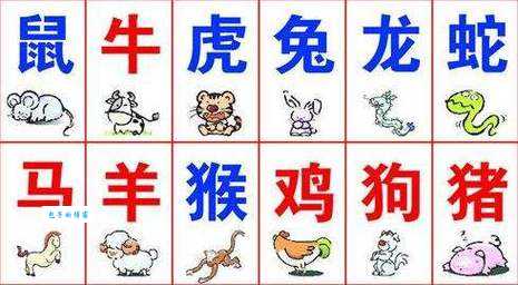 解密南拳北腿，它究竟代表哪个生肖？