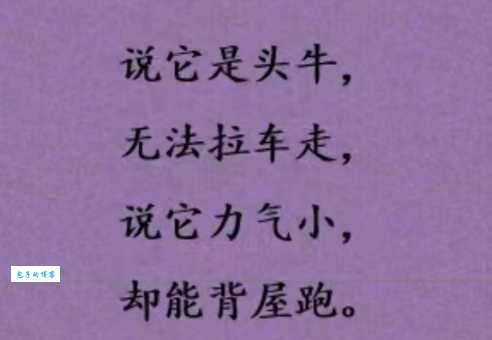 猜谜语：油盐不进打一动物，看看你能否答对这个难题？