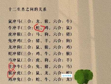 蹊田夺牛是哪个生肖动物？多种说法大解析