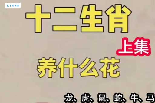 花不棱登是哪几个生肖？不同说法大比拼