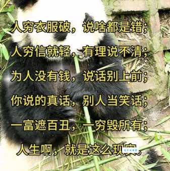 穷在街边无人问，揭秘背后的生肖秘密