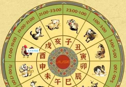 自以为计是什么生肖？不同生肖的计谋与智慧
