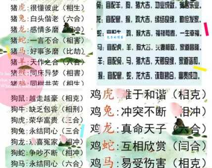 瓦解冰泮代表什么生肖？快速了解生肖背后的故事