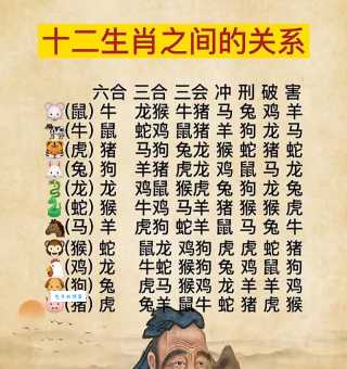 说东忘西是什么生肖？这几个生肖容易健忘