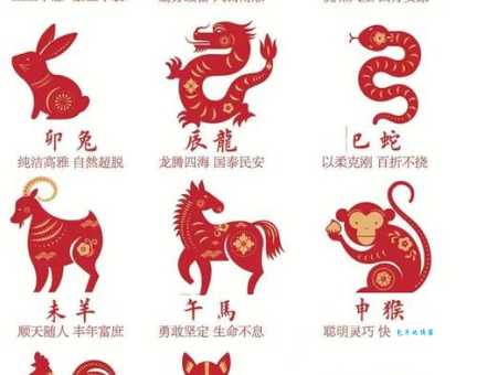 三番四次指的是哪个生肖？揭秘生肖谜题！