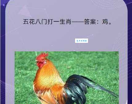 宛然如生指的是哪个生肖？生肖动物大揭秘