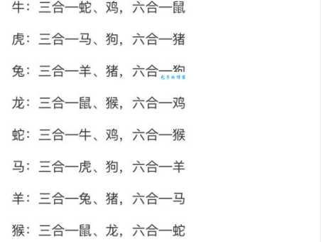 一元大武猜生肖：你猜对了吗？最佳答案详解