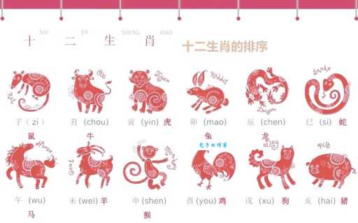 参辰卯酉代表哪些生肖？深入解读中国传统文化符号