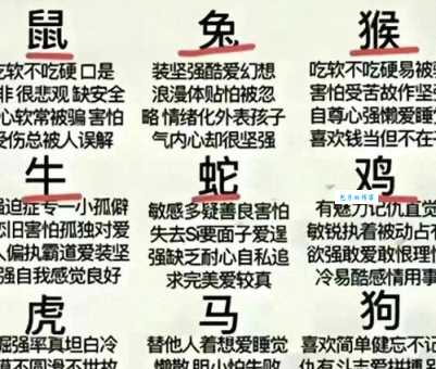 想知道劈天盖地是什么生肖吗？这里有详细解释