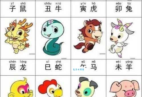 探头探脑是什么生肖动物？快速了解生肖与动物特征
