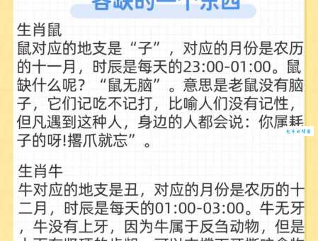 探头探脑是什么生肖动物？快速了解生肖与动物特征