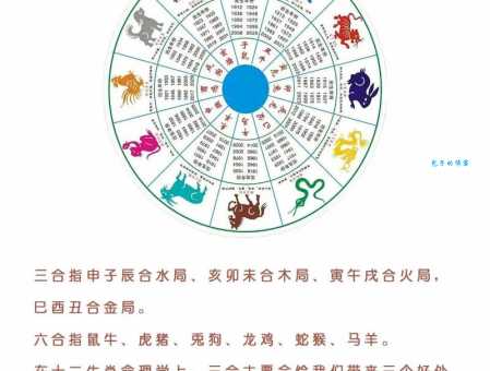 一一对应是什么生肖？传统文化中的生肖与地支对应