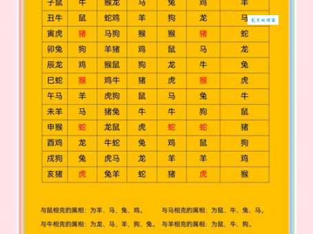 一一对应是什么生肖？传统文化中的生肖与地支对应