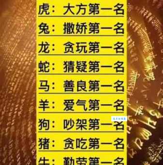 喧嚣一时代表什么生肖？带你轻松解开生肖谜题