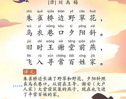 青衣乌帽代表哪个生肖？答案让你意想不到！