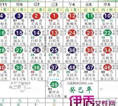 做贼心虚是什么生肖？揭秘十二生肖中胆小如鼠的动物