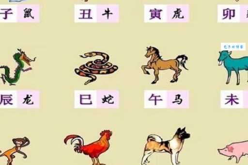 图穷匕现指什么生肖？揭秘隐藏的生肖动物