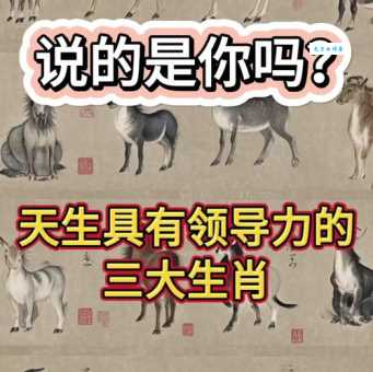 十二生肖中谁最爱抓耳挠腮？揭秘抓耳挠腮的生肖秘密