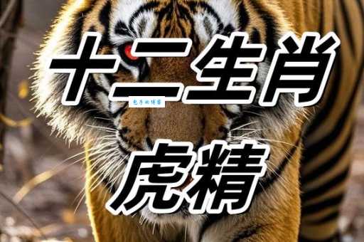 龙潭虎穴是哪个生肖？民间说法大不同！