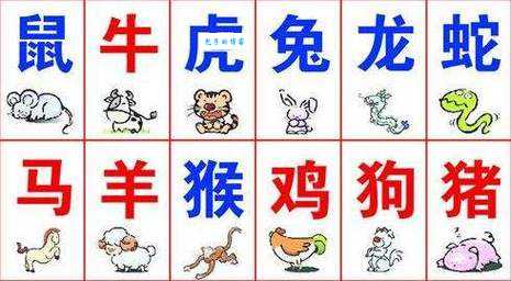 生肖谜语：两天打鱼三天网，猜猜是哪种动物？