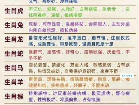 一举成名天下知是哪个生肖的写照？详解生肖特点