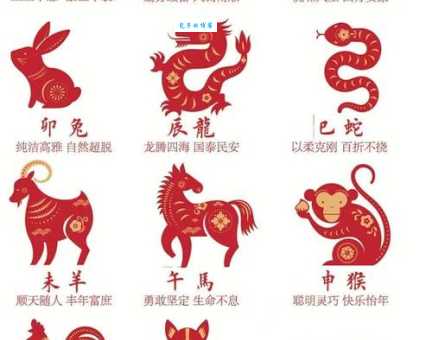 声音铿锵有力是哪个生肖？快来猜猜看！