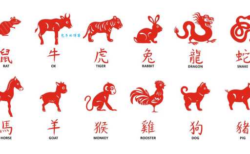 周穷恤匮打一最佳准确生肖是什么？