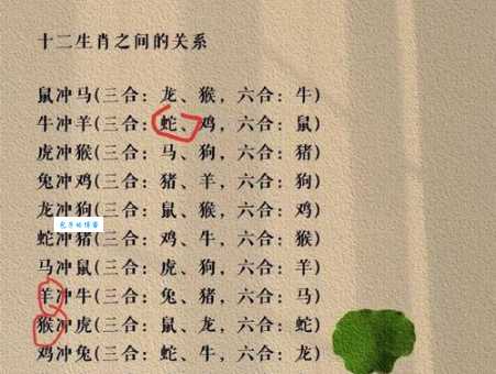 周穷恤匮打一最佳准确生肖是什么？