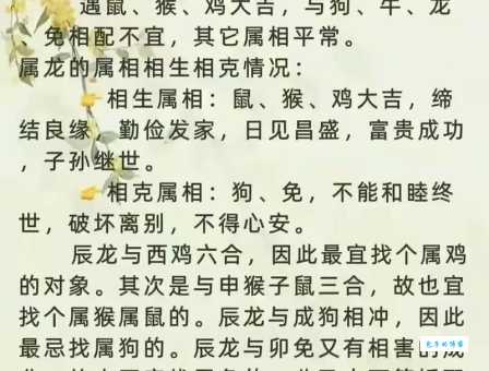 详解顶天立地猜一生肖：龙、牛还是其他？
