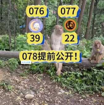 还在等猴年马月？2016年猴年马月日期公布
